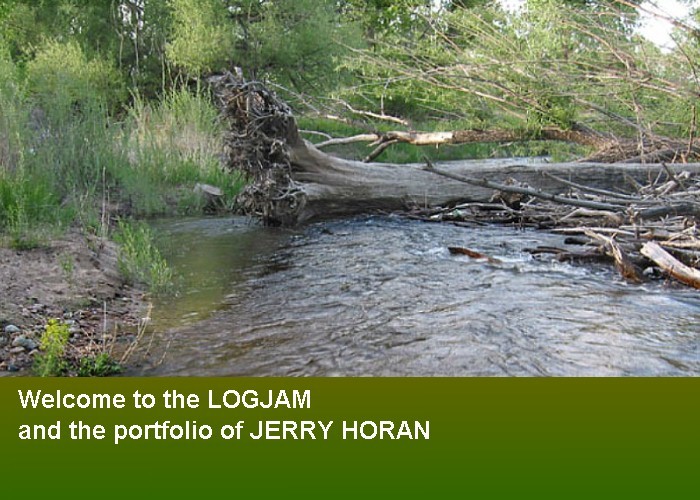 Wildlife Intentions Artwork