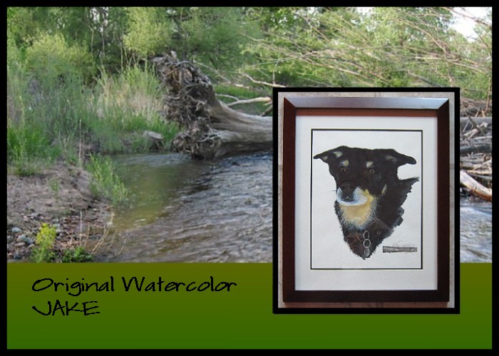 Wildlife Intentions: Jake