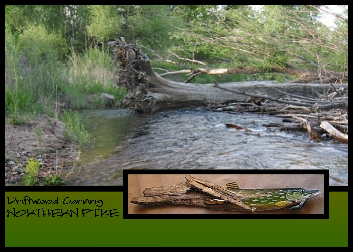 Wildlife Intentions: Pike